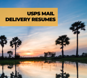 Image of Floriday palm trees with headline USPS Mail Delivery Resumes
